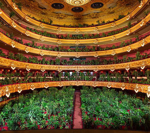 Barcelonská opera otevřela představením pro 2292 kytek